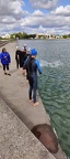 202409 - Eau libre Bourges 2024 (27)